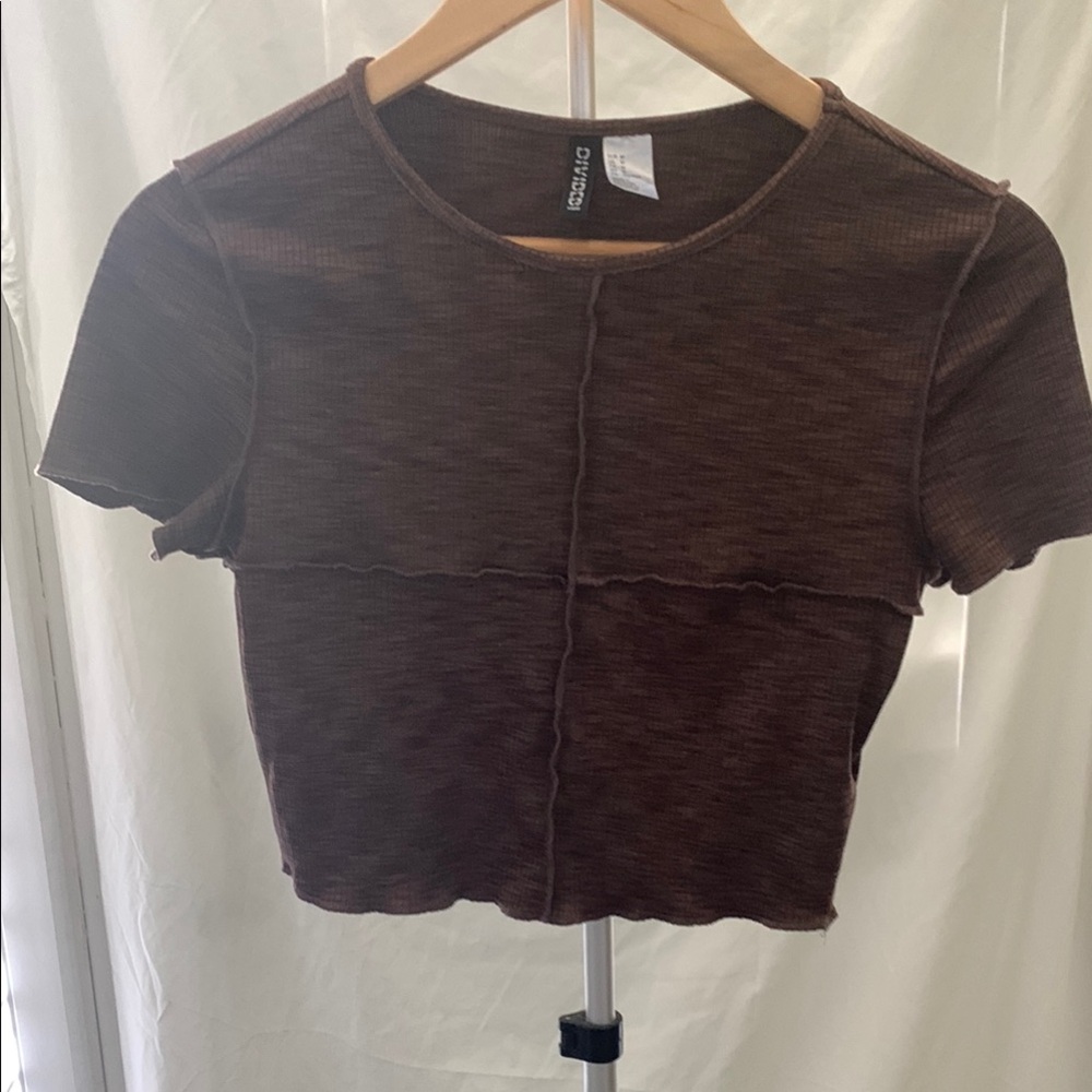 H&M Brown Fitted Crop T-Shirt